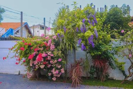 Ayana Beach Garden - 6