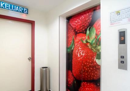 Strawberry Fields - 12
