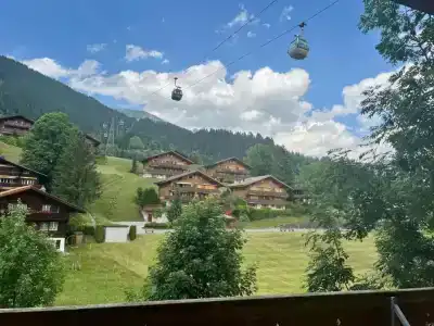 Das Bodmi - 15