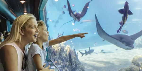 Sea World - 98