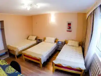 Guest House City Nest - 1