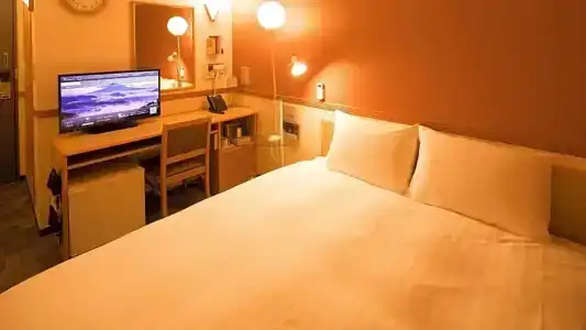 Toyoko Inn Minatogawa Koen - 101