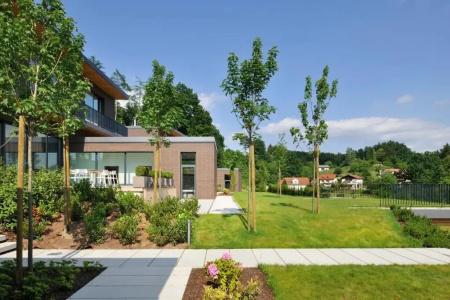 Oranda Village - 17