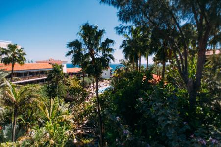 Parque Tropical - 21