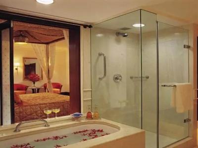 Itc Rajputana, a Luxury Collection, Jaipur - 51