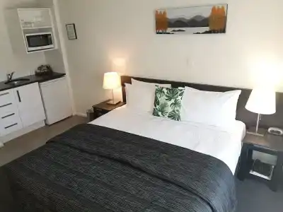 Airport Palms - 100