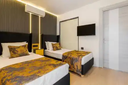 Tema 242 - 50