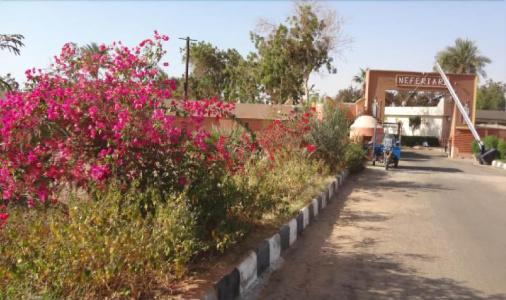 Nefertari Abu Simble - 24