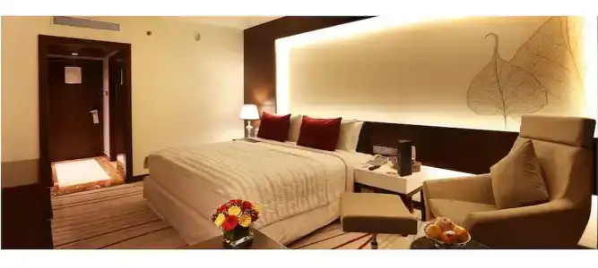 Le Royal Meridien Chennai - 88