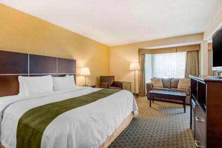 Quality Inn & Suites - 49