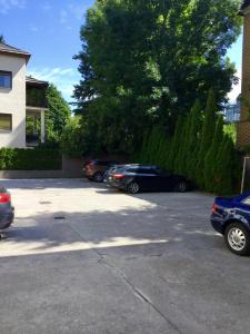 An Der Wien - 17