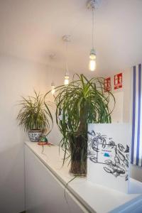 Boutique Barra Alta (Adults Only) - 12