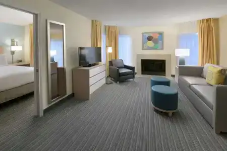 Sonesta ES Suites - 29