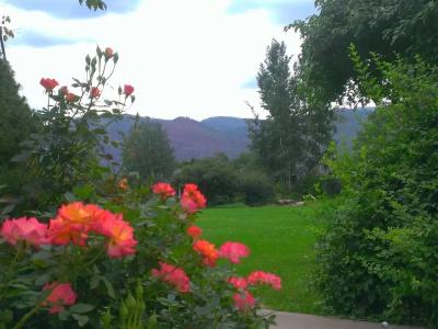Apple Orchard Inn & Cottages - 45