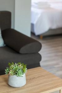 Menta City Boutique - 70