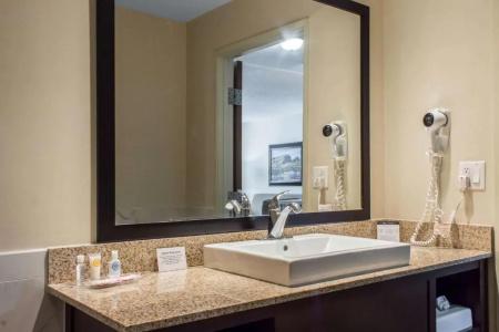 Comfort Suites at Tucson Mall - 52