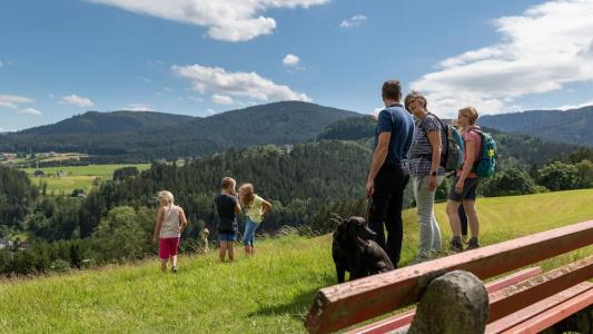 Sackmanns WanderLöwen - 17