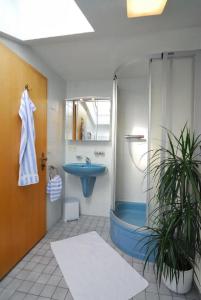 Grünberger superior - 4