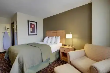Quality Inn & Suites Airport - 49
