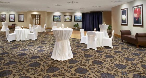 Sheraton Houston Brookhollow - 10