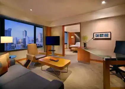 Grand Hyatt Singapore (SG Clean) - 2