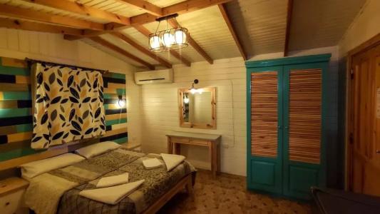Shams & Dive Centre - 75