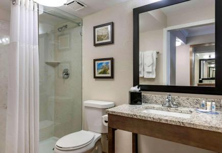 Comfort Inn & Suites Daytona Beach Oceanfront - 42