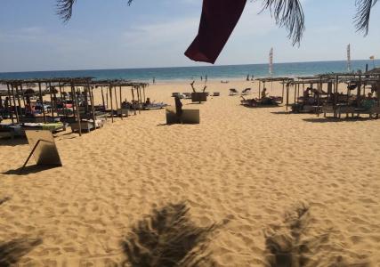 International Beach & Restaurant - 16