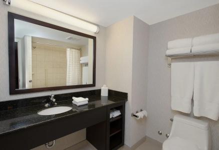 Embassy Suites by Hilton/ Fallsview - 49