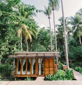 Jungle Koh - 16