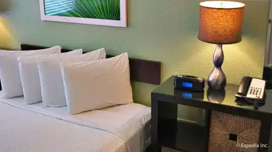 Colony - 43