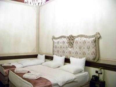 Edirne osmanlı evleri - 2