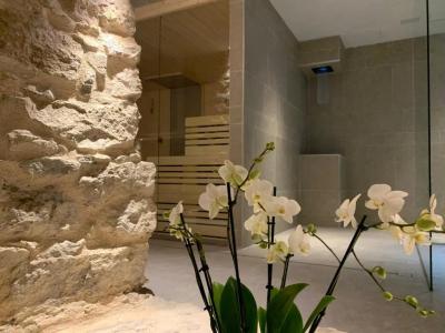 Ingresso SPA gratuito - 14