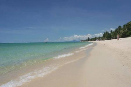 Grand Thai House Resort - 14