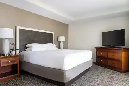 Hyatt Regency - 58