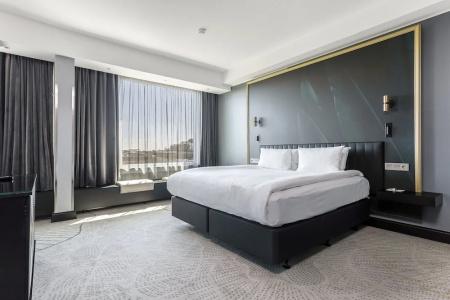 Crowne Plaza Helsinki - Hesperia, An Ihg - 173