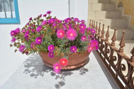 I Plateia - 27