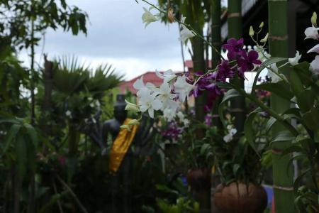 Khmer Mansion Boutique - 21