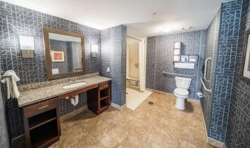 Homewood Suites by Hilton Mayo Clinic-St. Marys Campus - 49