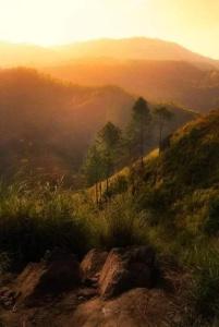 Siumi Rest - 16
