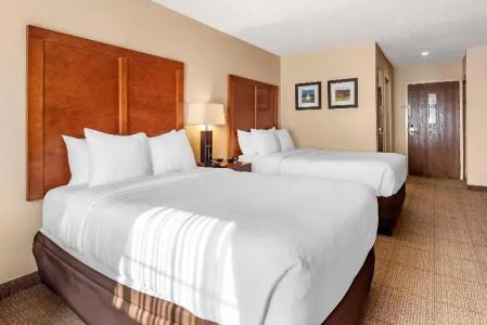 Comfort Inn Civic Center - 49