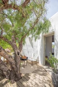 Ikies of Mykonos - 17