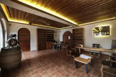 Vinifera Vineyards - 21