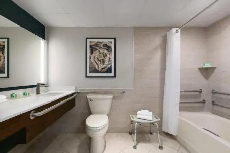 Holiday Inn & Suites, An Ihg - 91