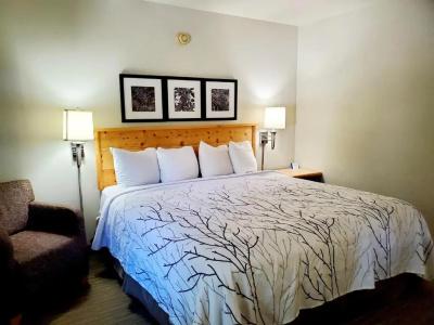 Days Inn and Suites by Wyndham Downtown-University - 17