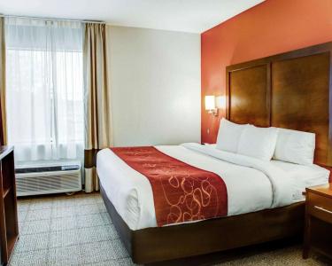 Comfort Suites South - 47