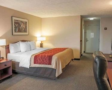 Comfort Inn Indianapolis South I-65 - 29