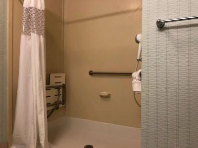 Hampton Inn & Suites Nashville at Opryland - 31