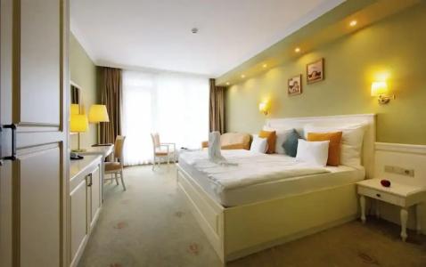 Calimbra Wellness Superior - 61