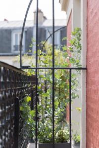 Urban Bivouac - 29